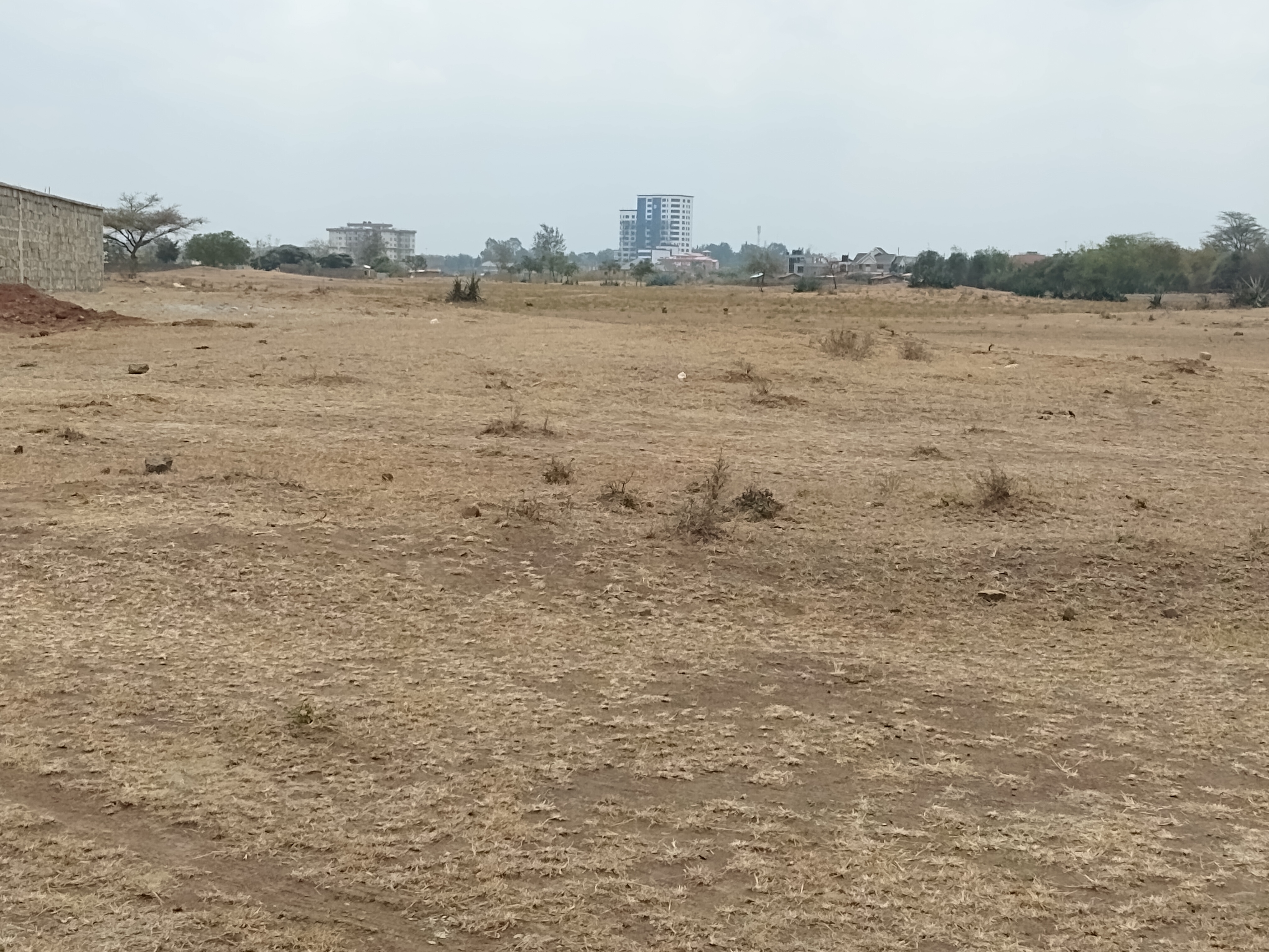 Juja Plots for Sale